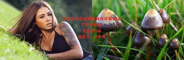молекула духа Верхний Тагил