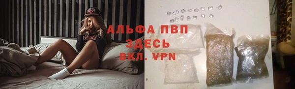 гидра Верея