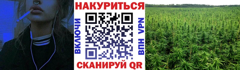 МАРИХУАНА SATIVA & INDICA  Купить  Красавино 
